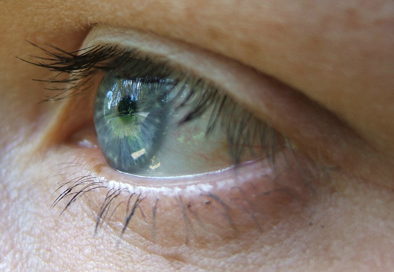 Primer plano de un ojo